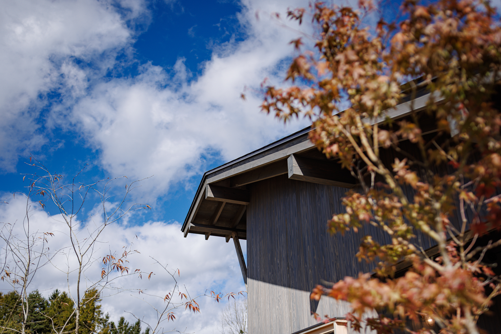 岐阜のレストラン