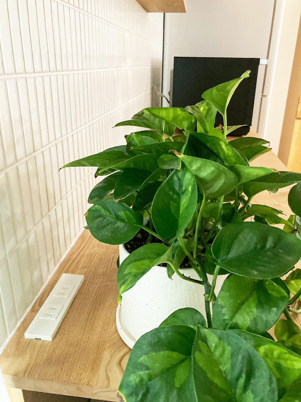 オーダー家具・クリのカップボード／関西・京都